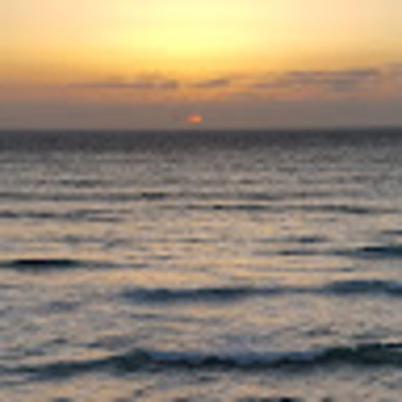 1amlisa